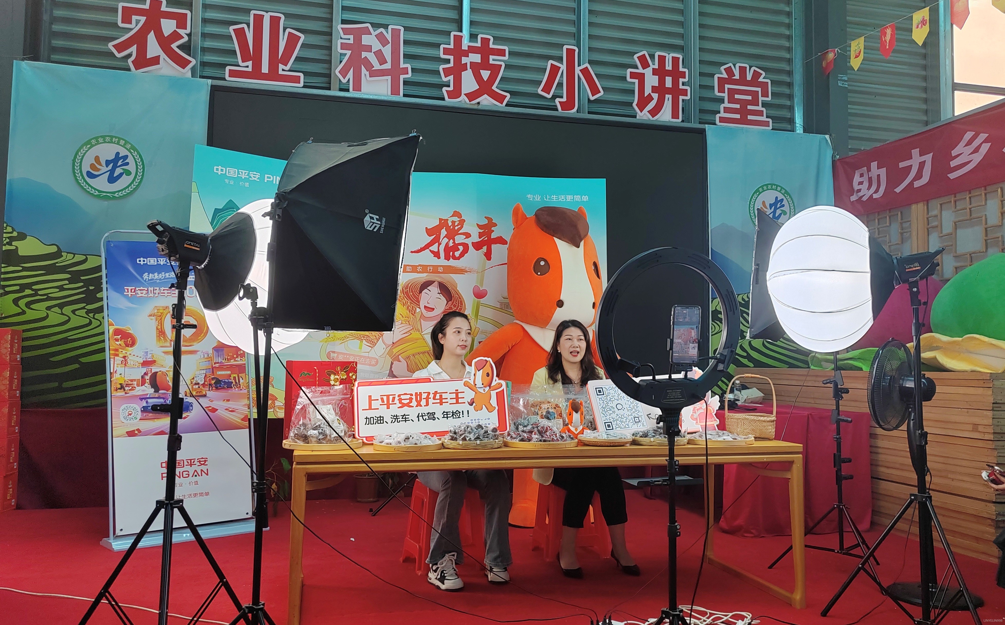 “共平安‘播’丰年” 平安产险百场助农直播活动福建永泰站圆满落地2.png