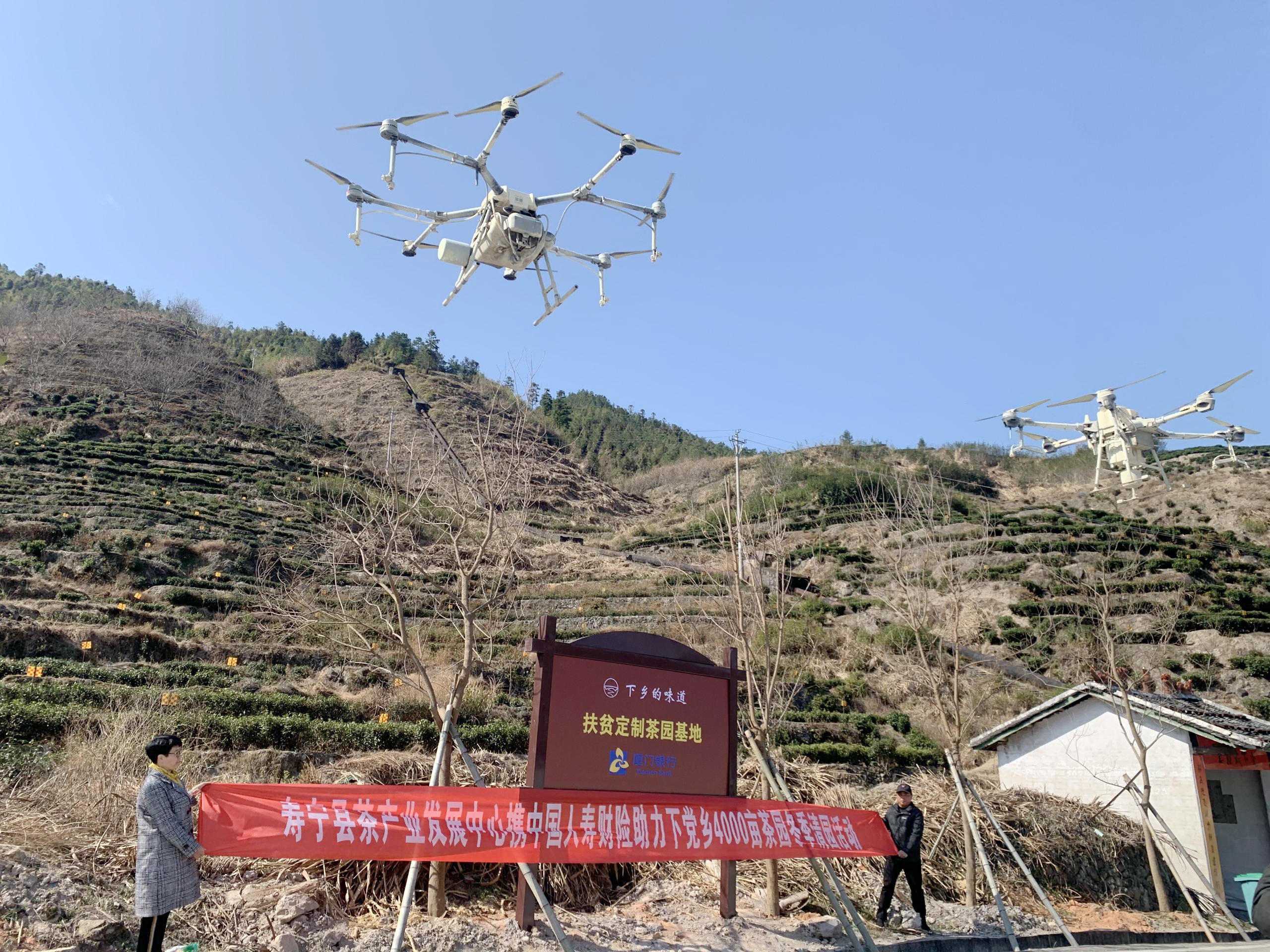 国寿财险.jpg