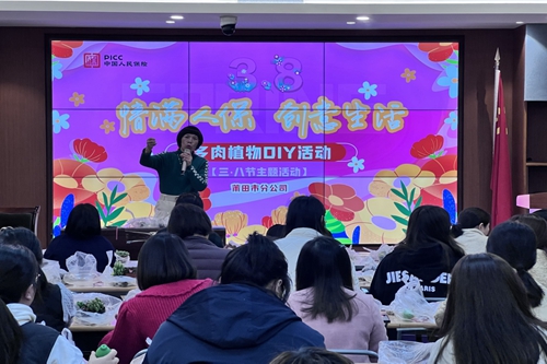 人保财险莆田市分公司组织开展多肉植物种植DIY主题活动.jpg