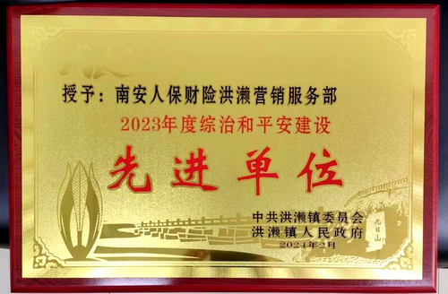 调整大小2024.2.23南安：服务乡村振兴 荣获乡镇政府表彰 (2).png