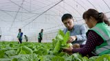 远离贫困，从一份保障开始——保险扶贫公益宣传片（梦想篇）