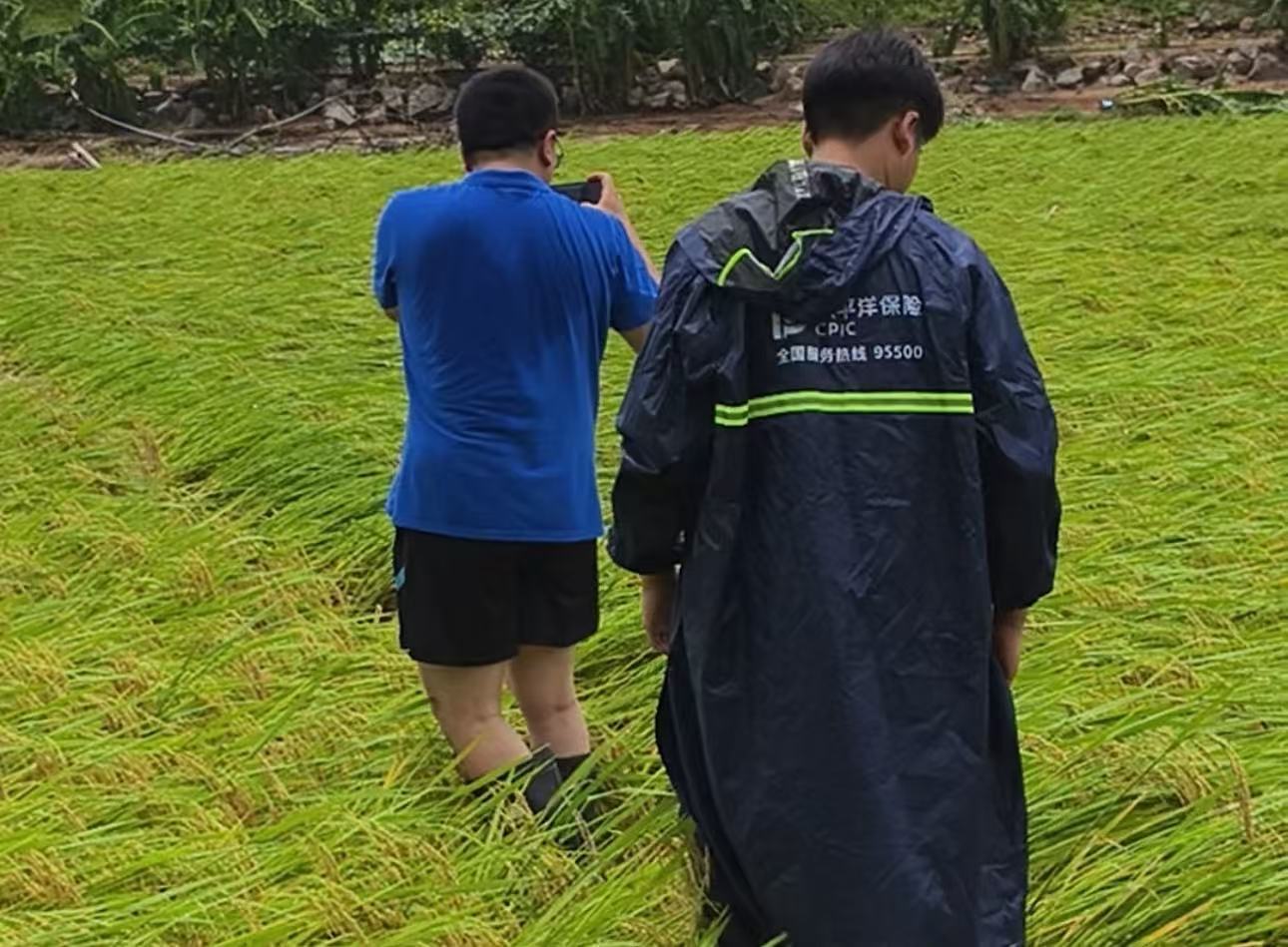 农险风勘.jpg