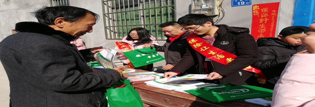 图片8.jpg