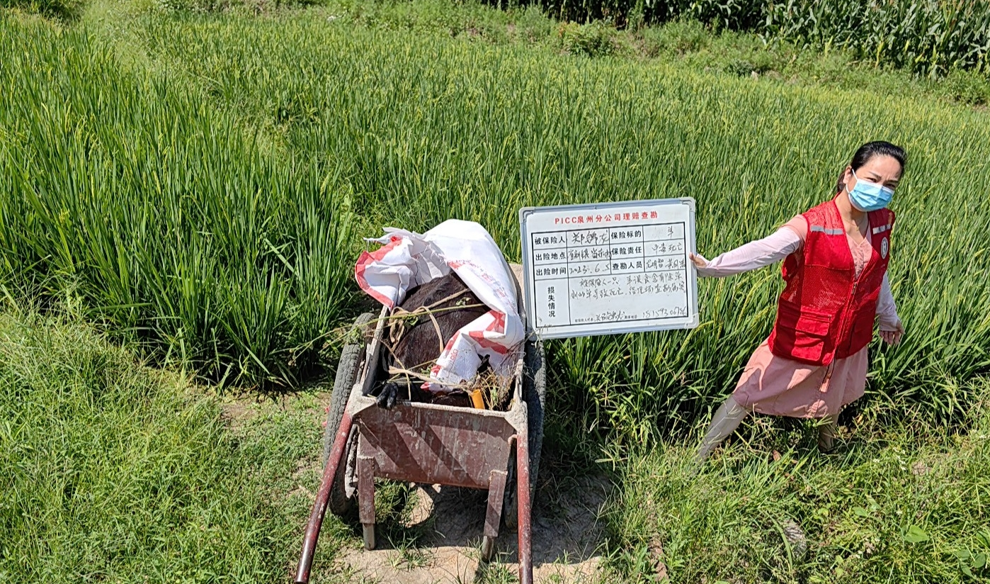 人保财险：农险查勘.png