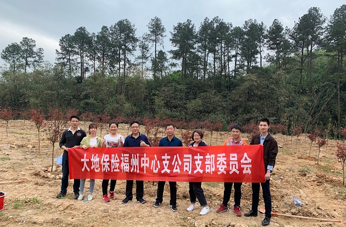 植树活动.jpg