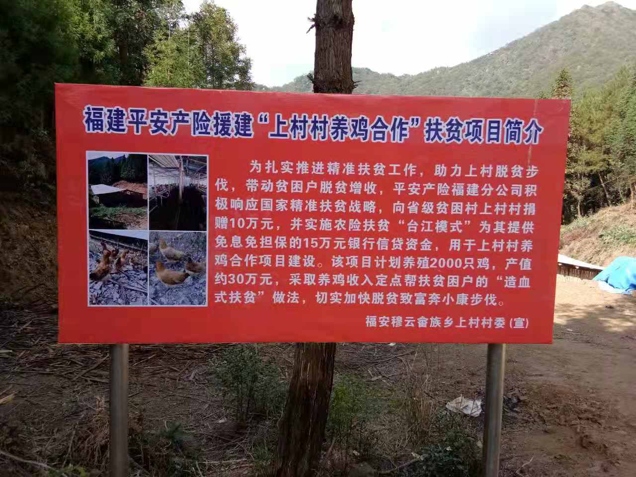 平安产险1.jpg